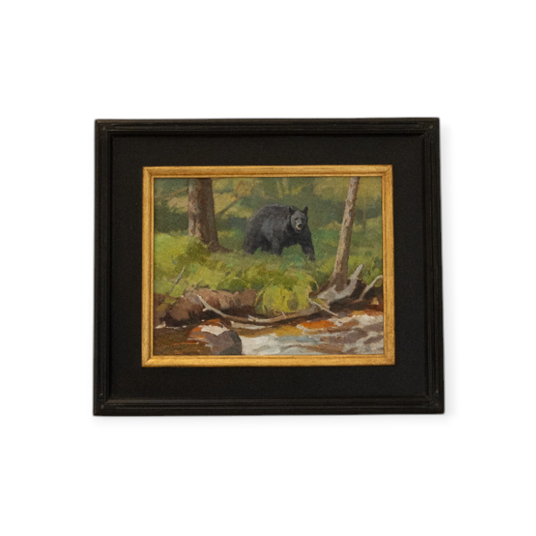 Approaching Black Bear I Daniel Loge