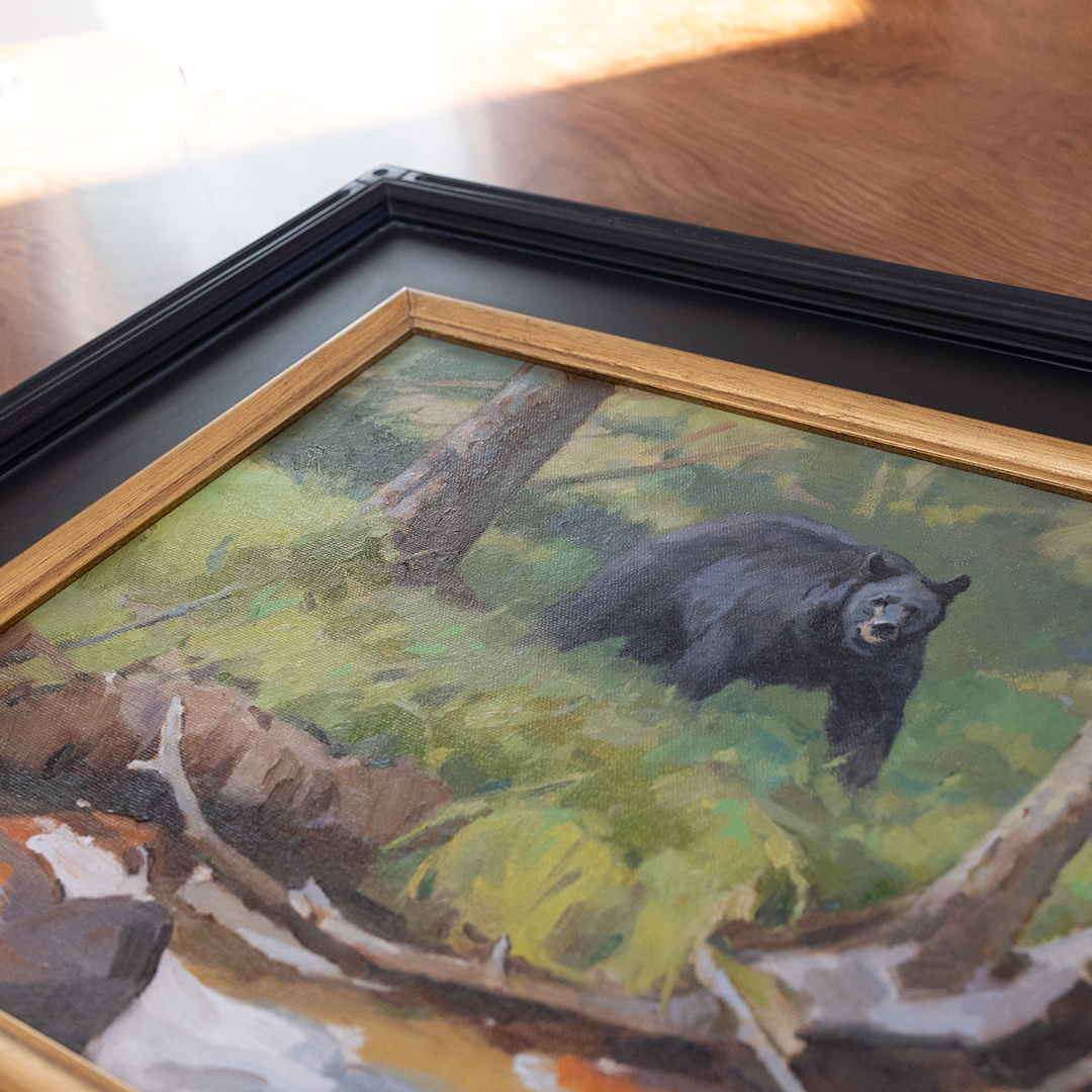 Approaching Black Bear I Daniel Loge