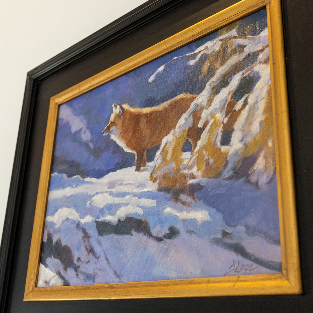 Red Fox