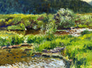 Colorado Back Water | Larry Day