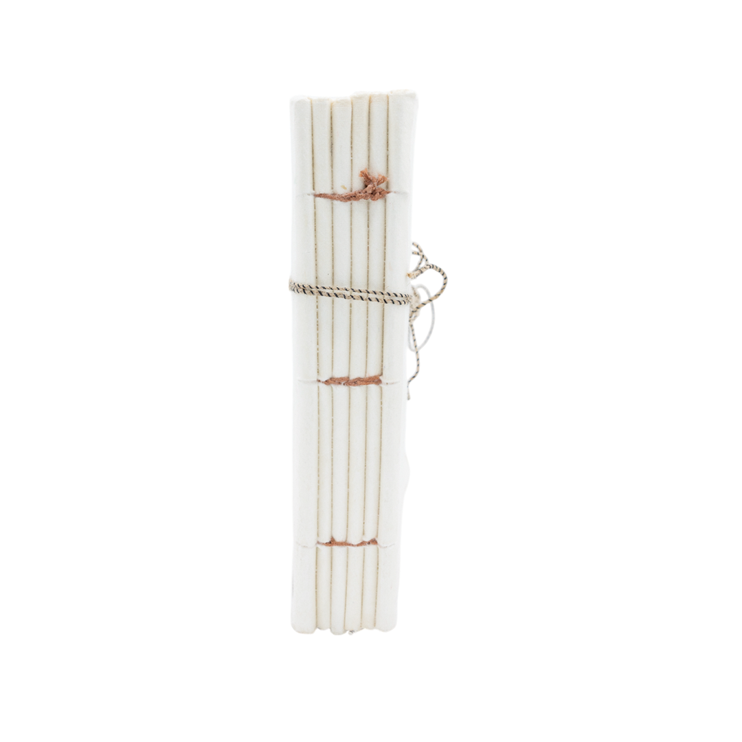 Hand Bound Parchment Book