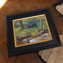 Approaching Black Bear I Daniel Loge