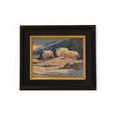 Mountain Goats