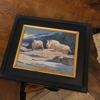 Mountain Goats