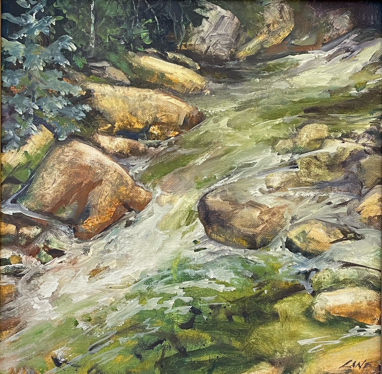 Coal Creek | Tammie Lane