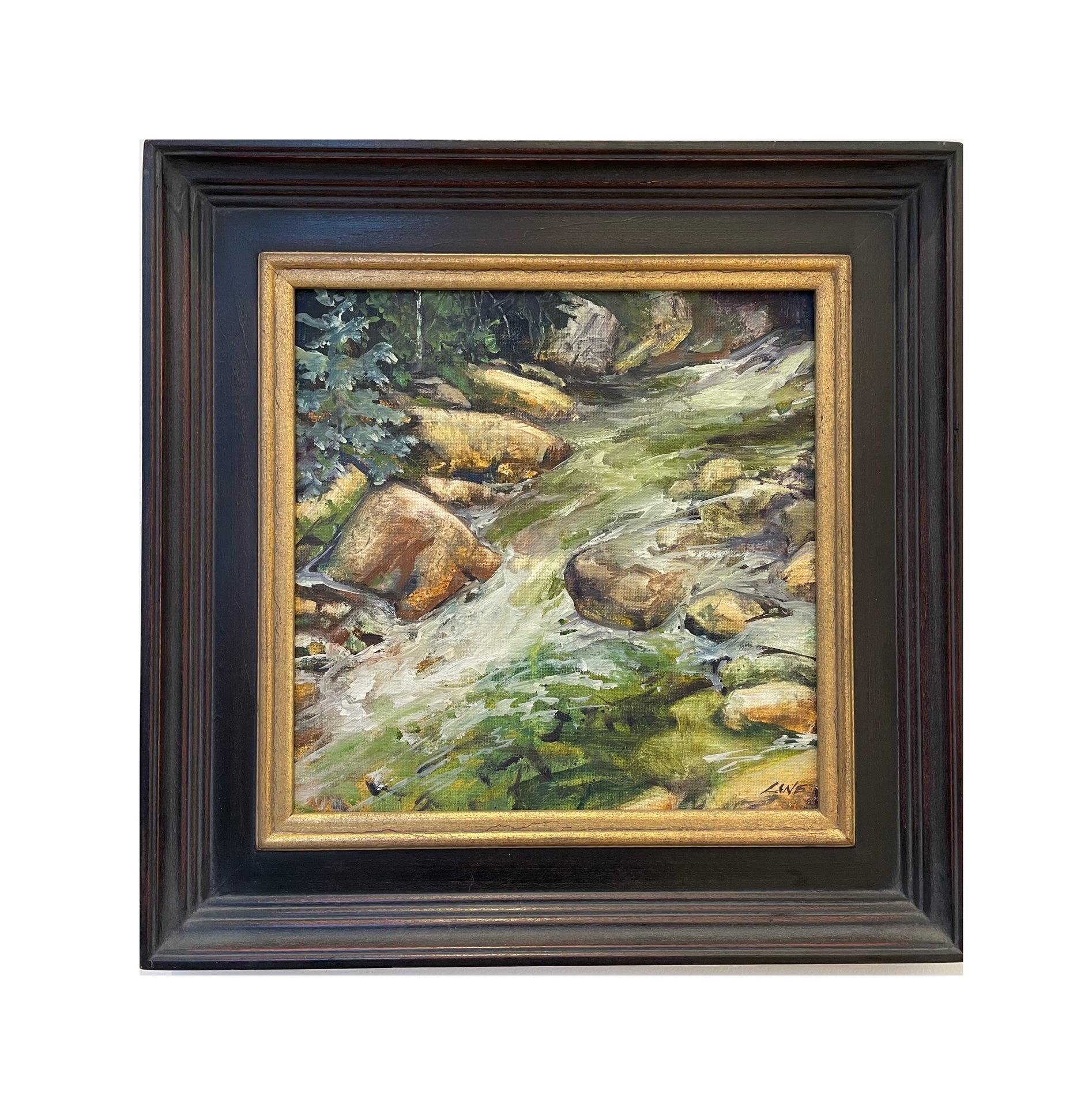Coal Creek | Tammie Lane