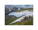 Timberline Ancients | Lanny Grant