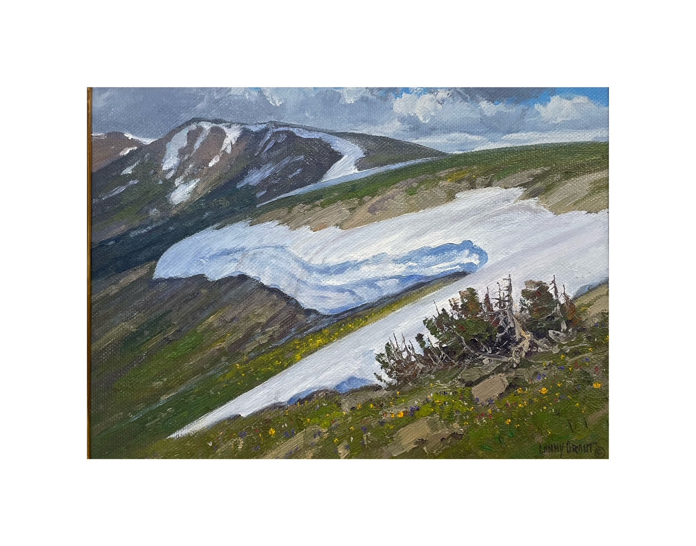 Timberline Ancients | Lanny Grant