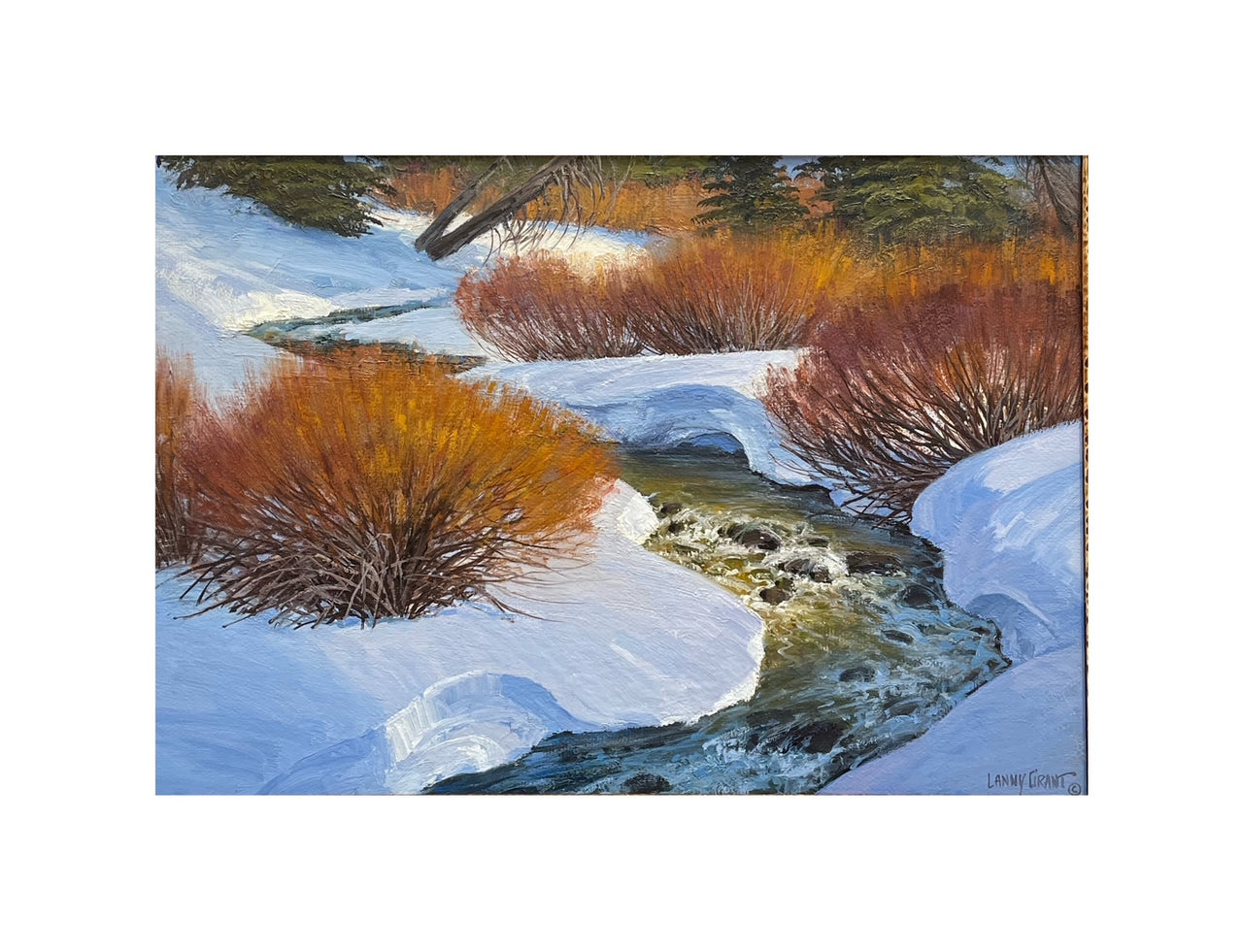 Castle Creek Willows | Lanny Grant