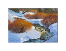 Castle Creek Willows | Lanny Grant (SOLD)