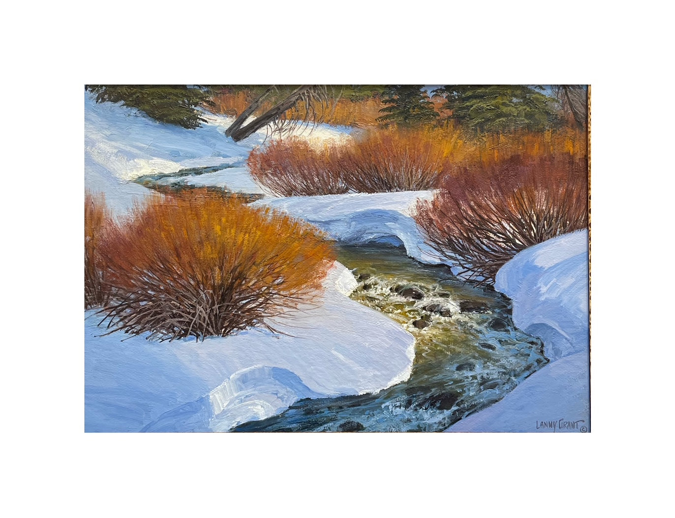 Castle Creek Willows | Lanny Grant (SOLD)