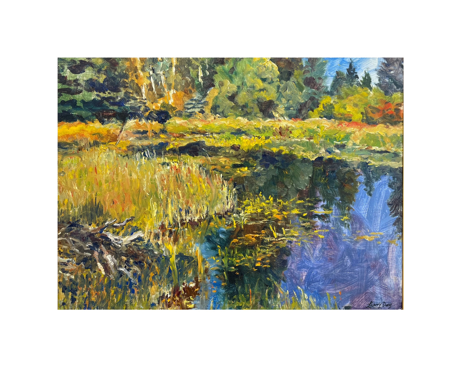 Beaver Pond | Larry Day