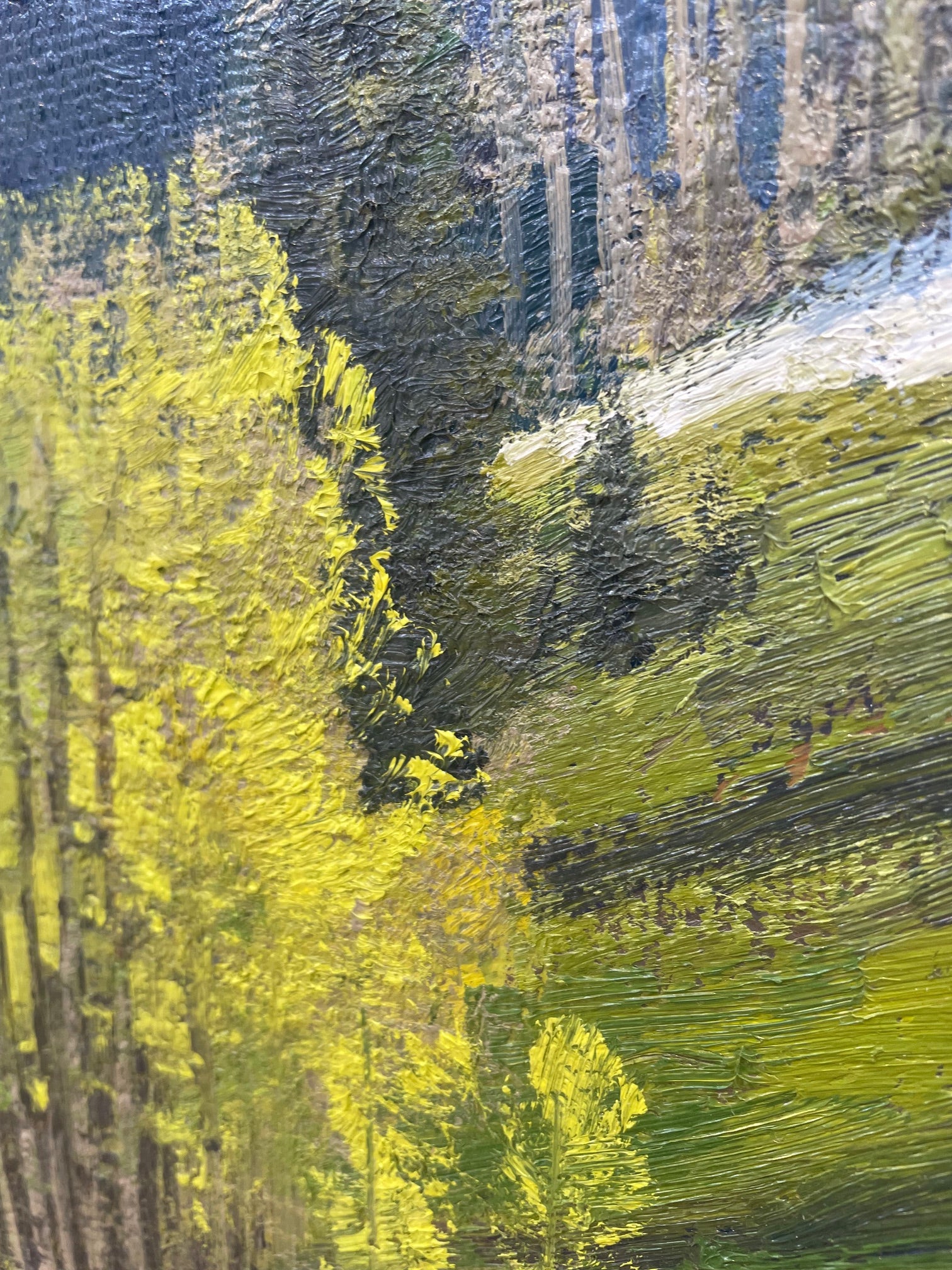 Spring Awakening - Capitol Creek Valley | Lanny Grant
