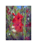 Gladiolis | Jennifer Riefenberg