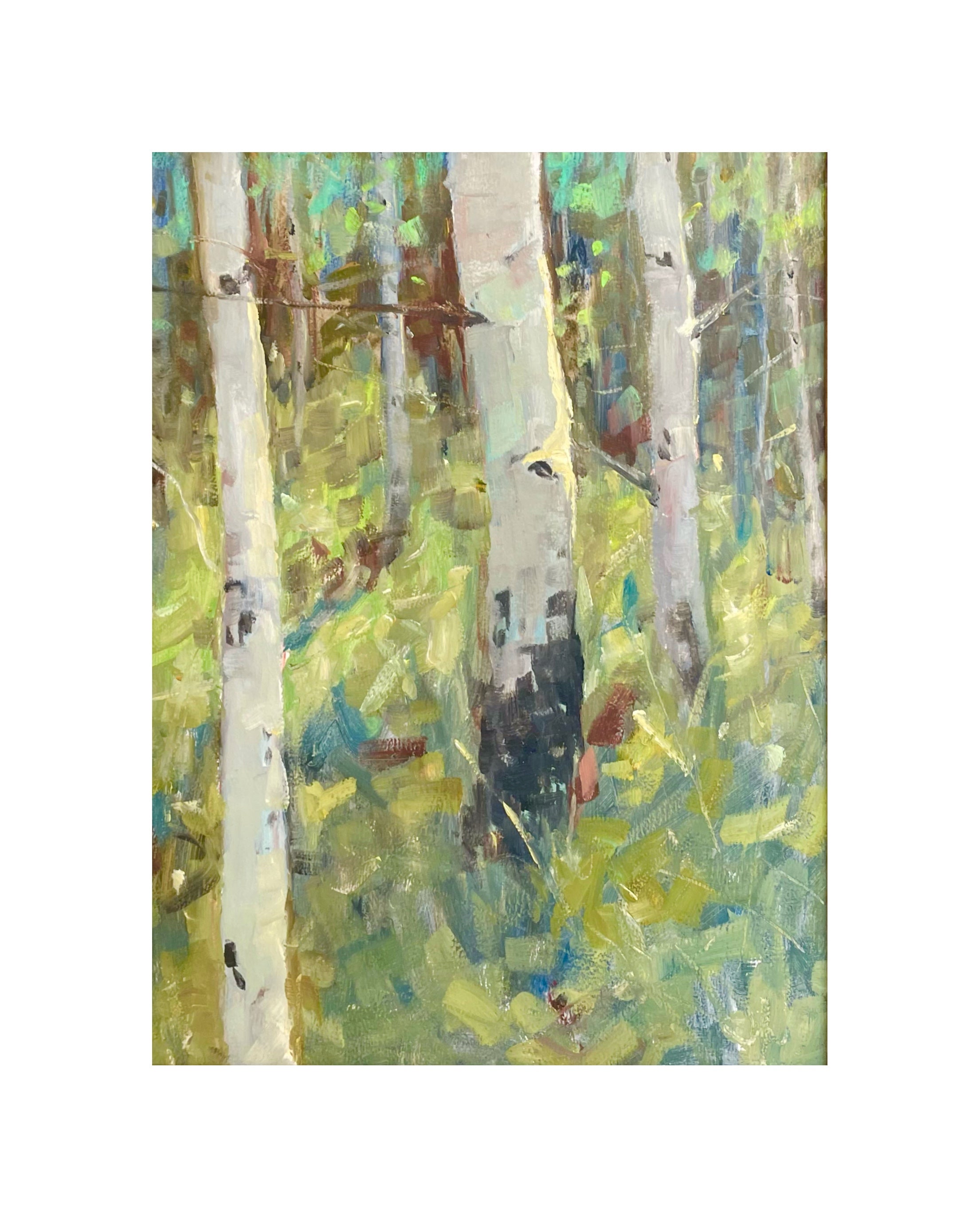 Summer Aspens | Jennifer Riefenberg