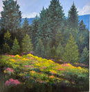 Rocky Mountain Wildflowers | Barbara Churchley