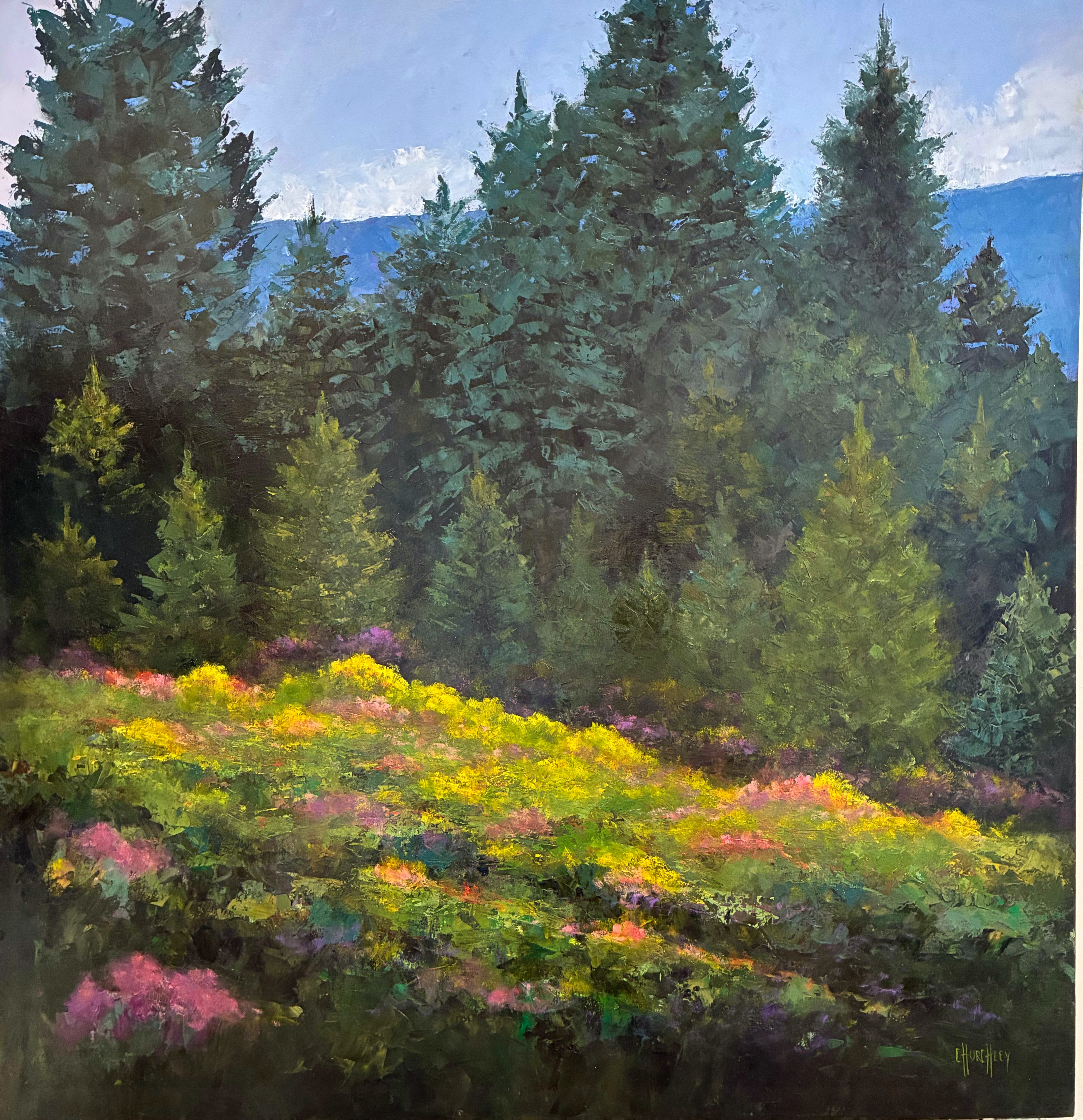 Rocky Mountain Wildflowers | Barbara Churchley