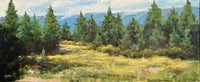 Rocky Mountain Summer | Barbara Churchley