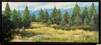 Rocky Mountain Summer | Barbara Churchley