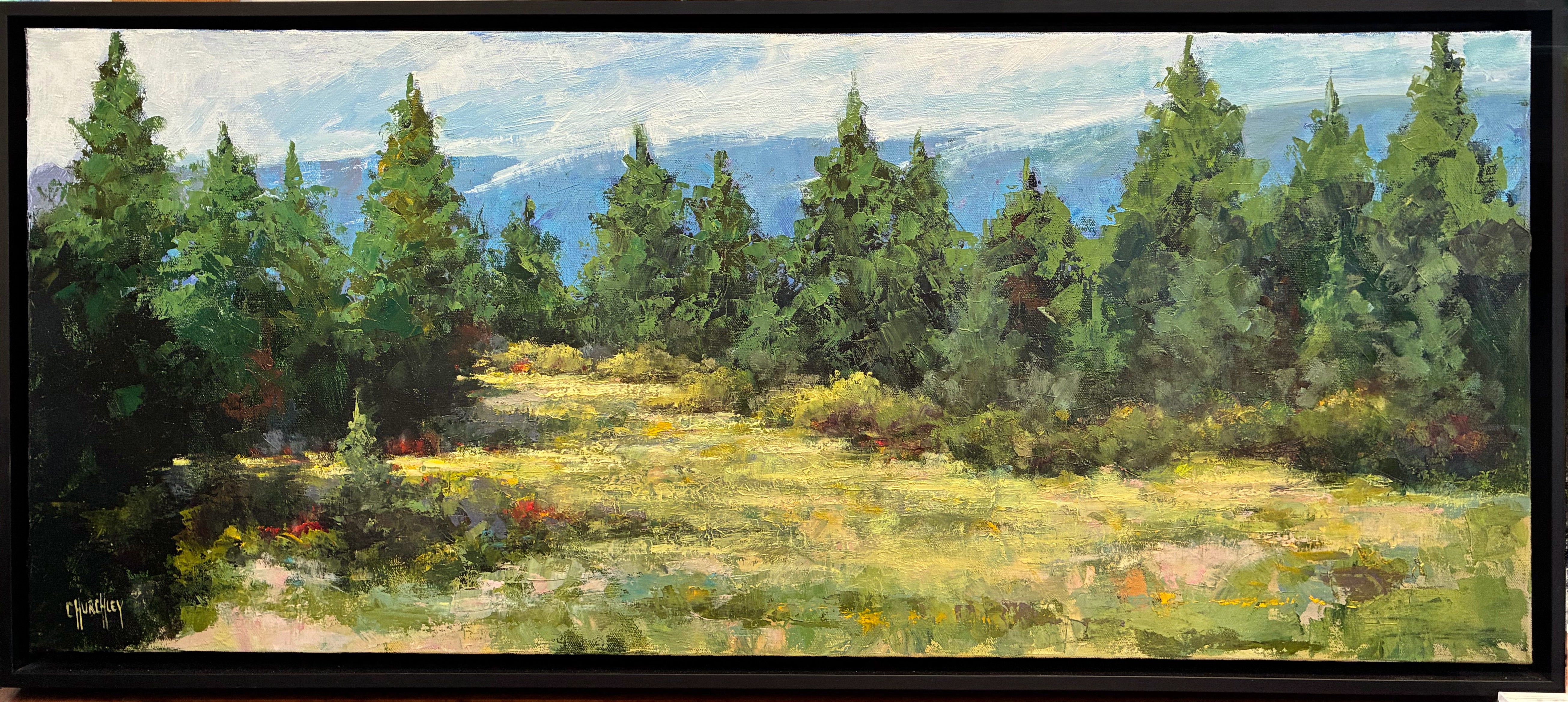 Rocky Mountain Summer | Barbara Churchley