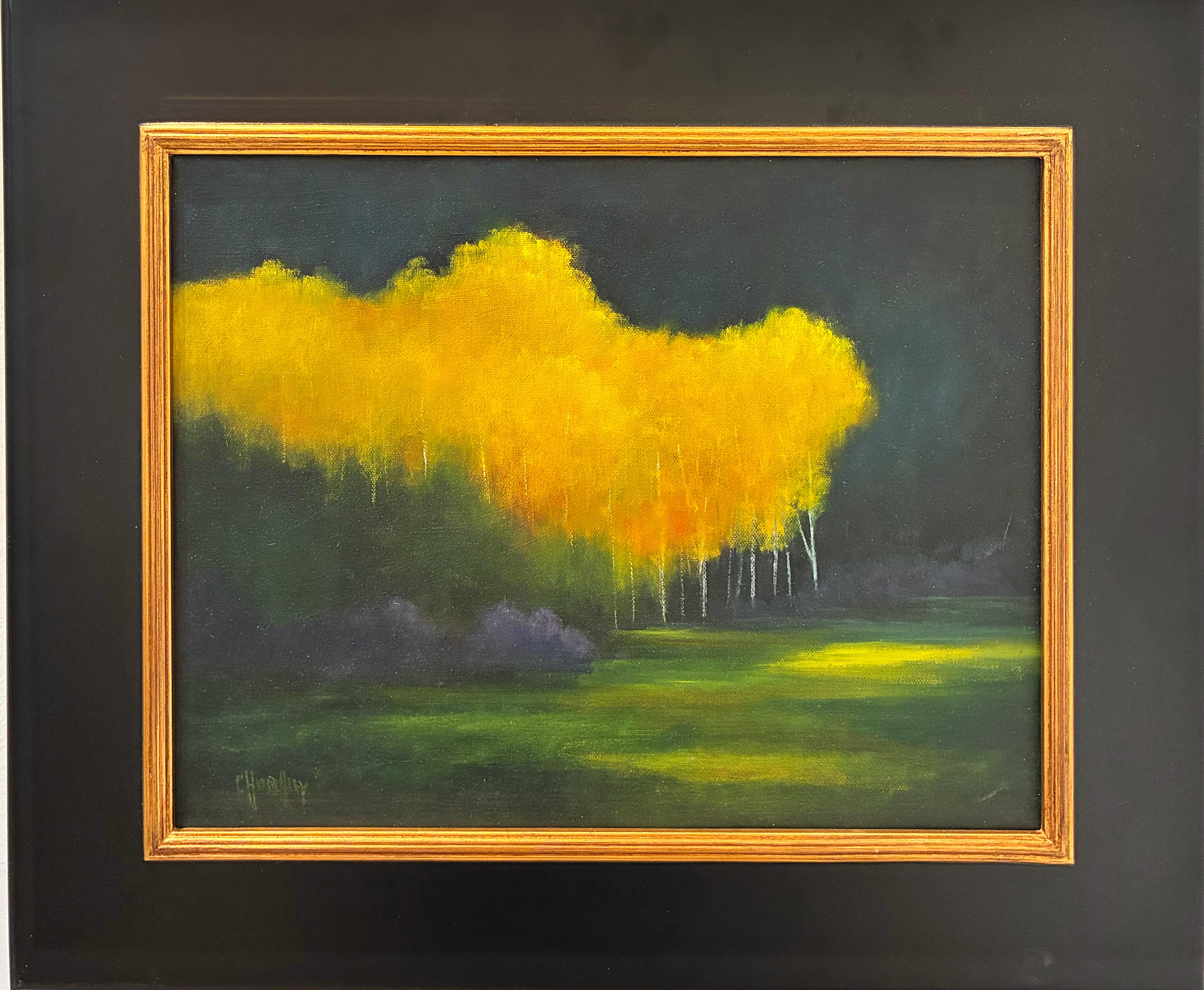 Aspens Aglow | Barbara Churchley
