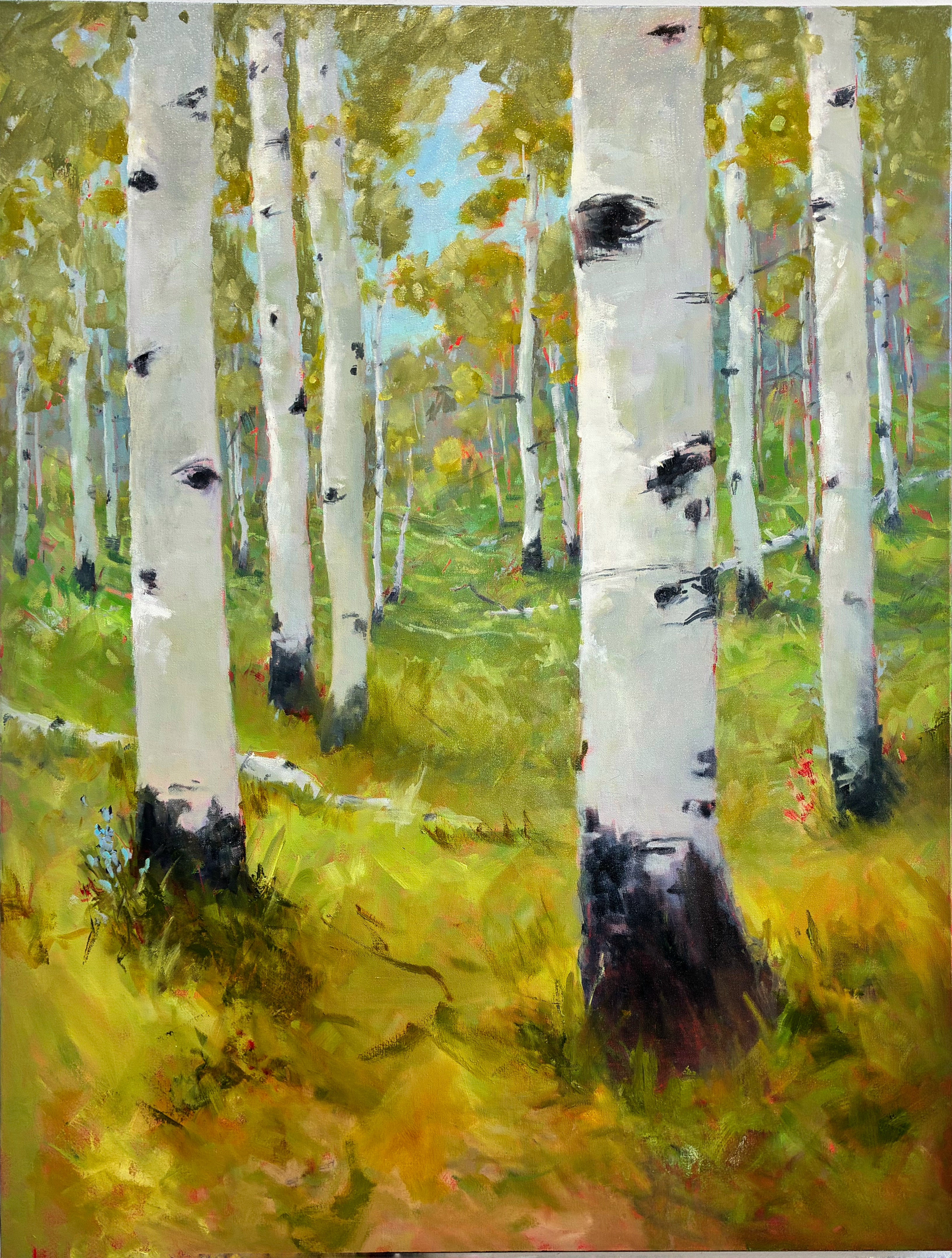 Aspen Impressions - Summer  | Jennifer Riefenberg