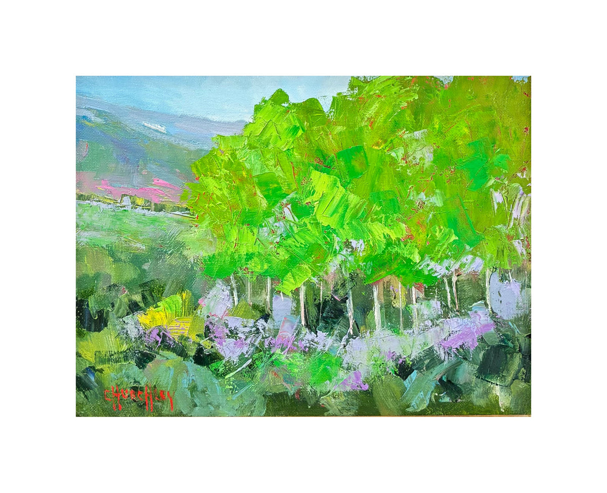 Spring | Barbara Churchley